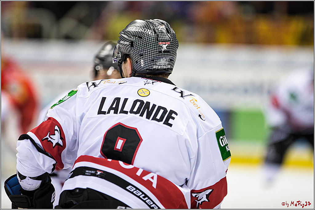 DEL, Koelner Haie - Duesseldorfer EGY, 22.01.2017